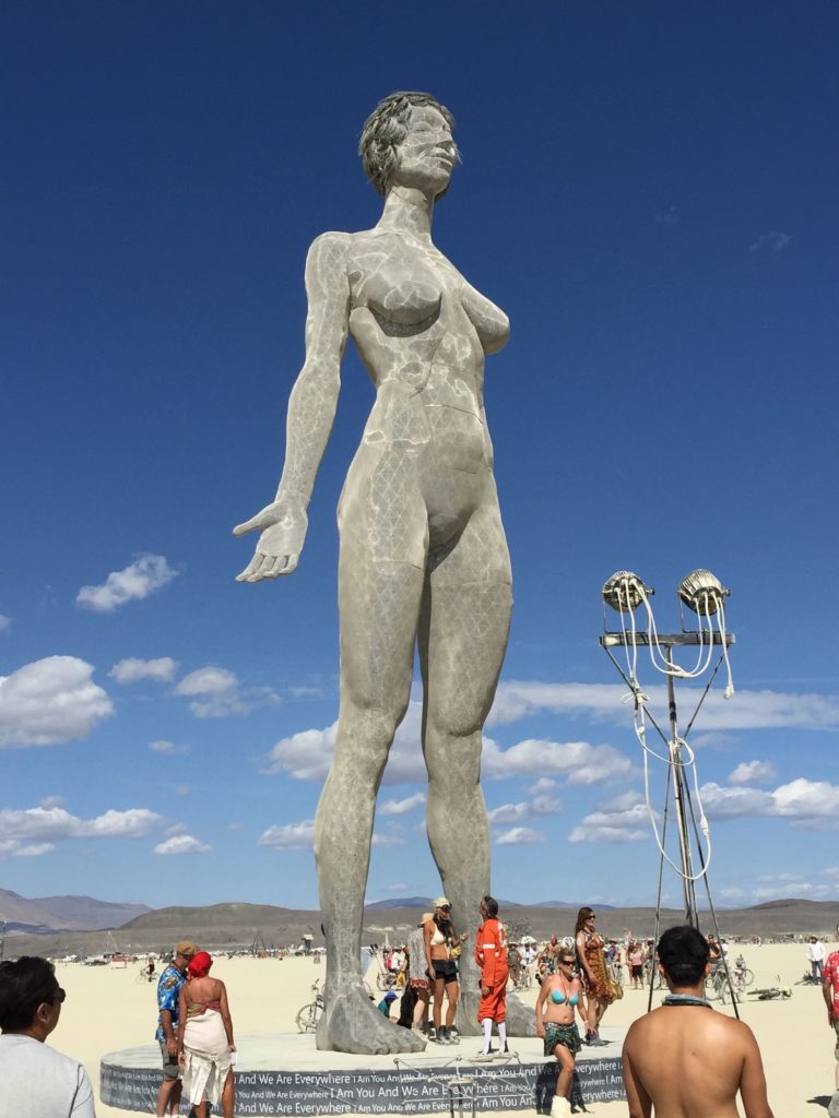 Insights from Burning Man 2015