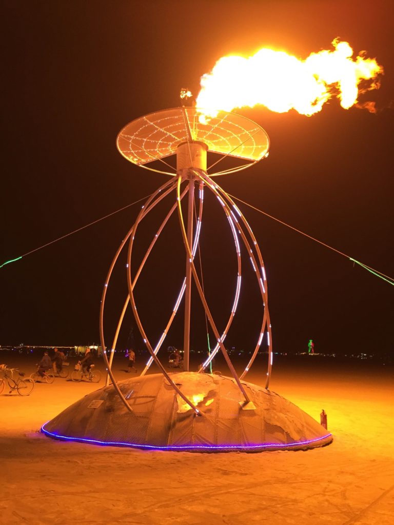 Insights from Burning Man 2015